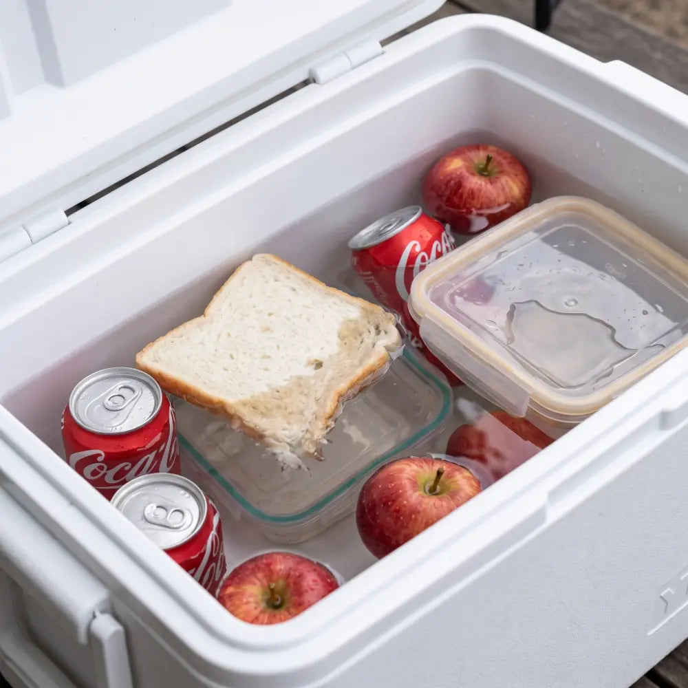 Waterlogged esky full of melted single-use ice
