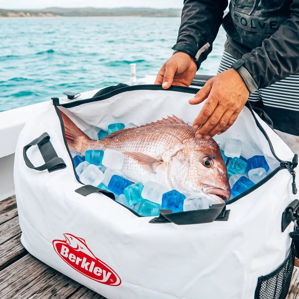 A white Berkley cooler bag filled with ice and a large fish, being handled by a person on a boat deck with water in the background.