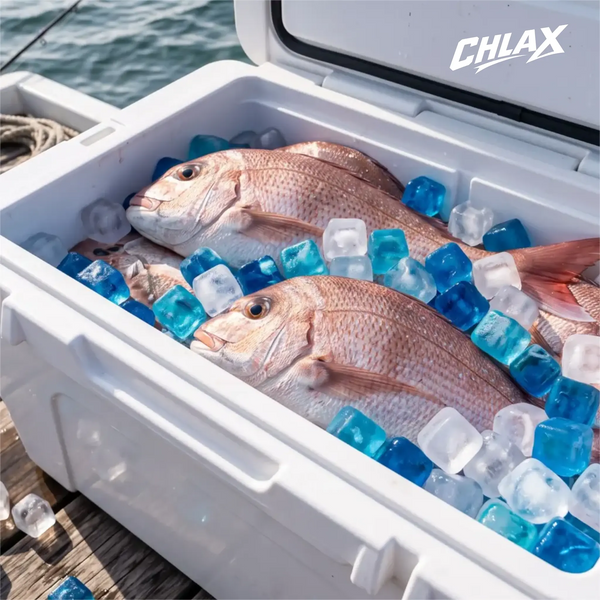 A white hard shell cooler with fresh caught fish covered with CHLAX reusable ice cubes.