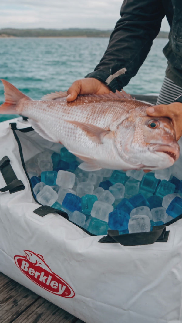 CHLAX fish bag video